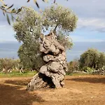 Il Cerchio D Acqua 3*