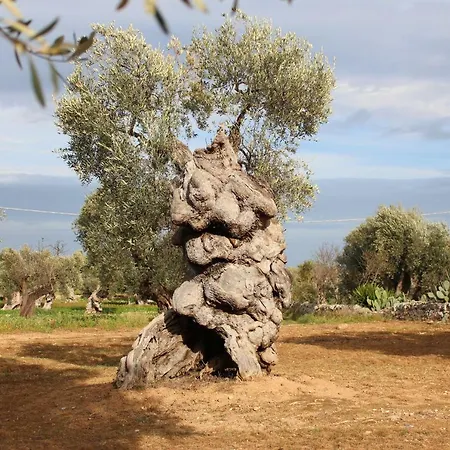 Il Cerchio D Acqua 3*